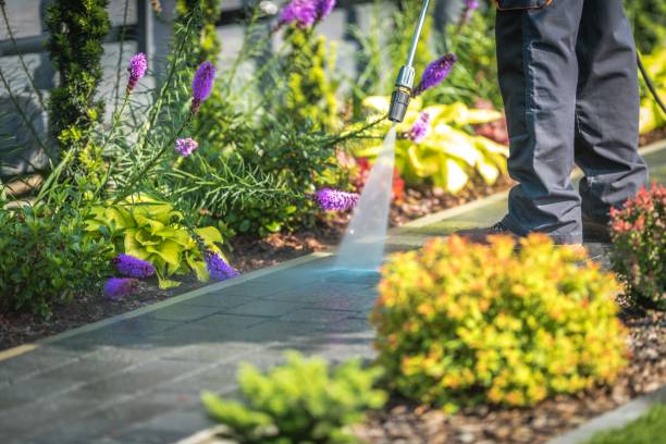 Best Dumpster Area Cleaning  in Exandria, AL