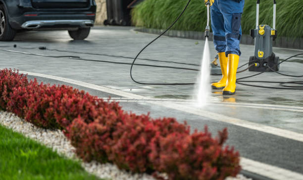 Best Patio and Deck Pressure Washing  in Exandria, AL
